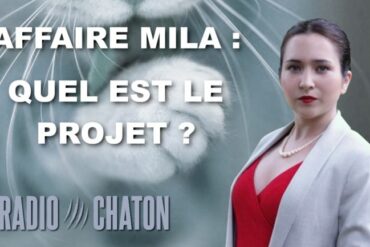 Affaire Mila : quel est le projet ?